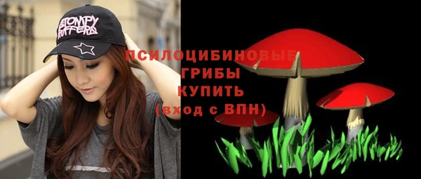 гашик Сафоново