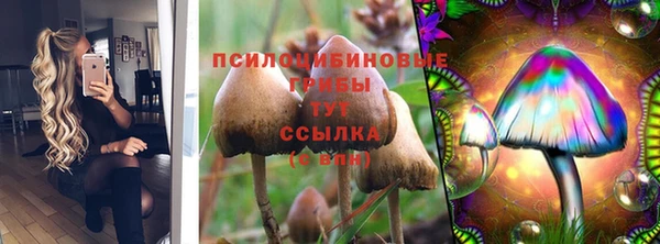 каннабис Богородицк